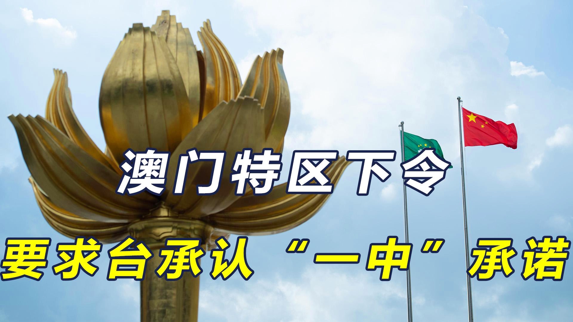 澳门一码一肖一待一中今晚，澳门一码一肖一待一中今晚的秘密与期待