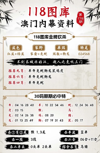 澳门精准正版免费大全，澳门精准正版免费大全，探索与解析