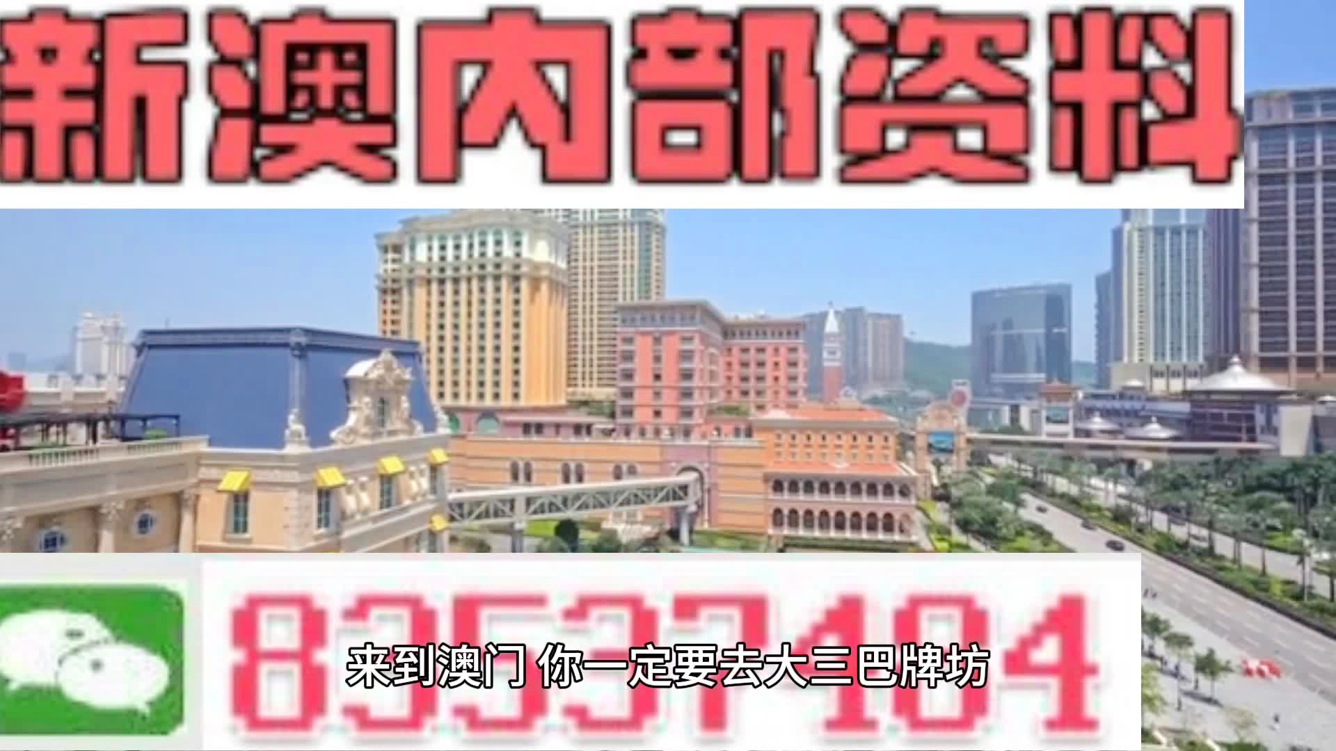 新澳2025年精准一肖一码，新澳2025年精准一肖一码，预测与探索
