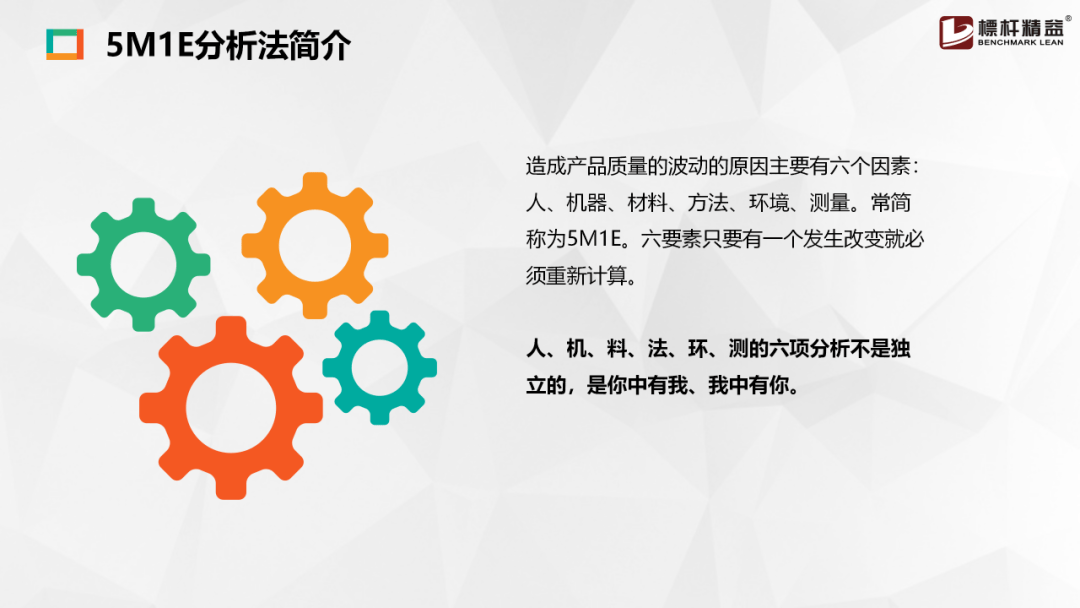 王中王资料大全料大全1，王中王资料大全，深度解析与全面探究