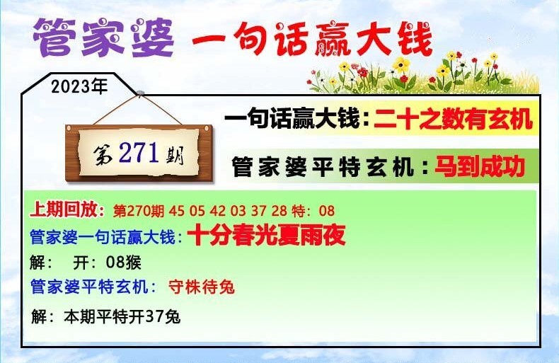 澳门一肖一码100管家婆9995，澳门一肖一码与管家婆9995，探索与解析