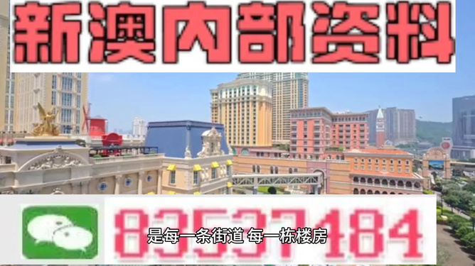 2025年澳门正版免费资料，澳门正版免费资料，探索未来的可能性与机遇（2025年展望）