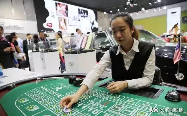 天天彩澳门天天彩，天天彩澳门天天彩，探索与体验彩票的魅力