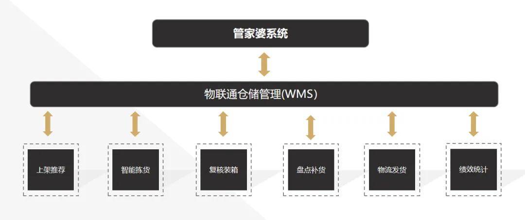 2025管家婆一码一肖资料，关于2025管家婆一码一肖资料的研究与探讨