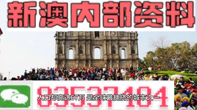 澳门精准资料期期精准每天更新，澳门精准资料，期期精准，每天更新的魅力与重要性