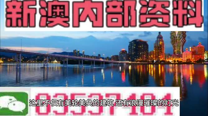 新澳门免费资料大全正版，新澳门免费资料大全正版，探索与解读