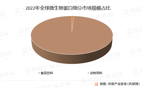 新澳王中王资料大全，新澳王中王资料大全——深度解析与探索