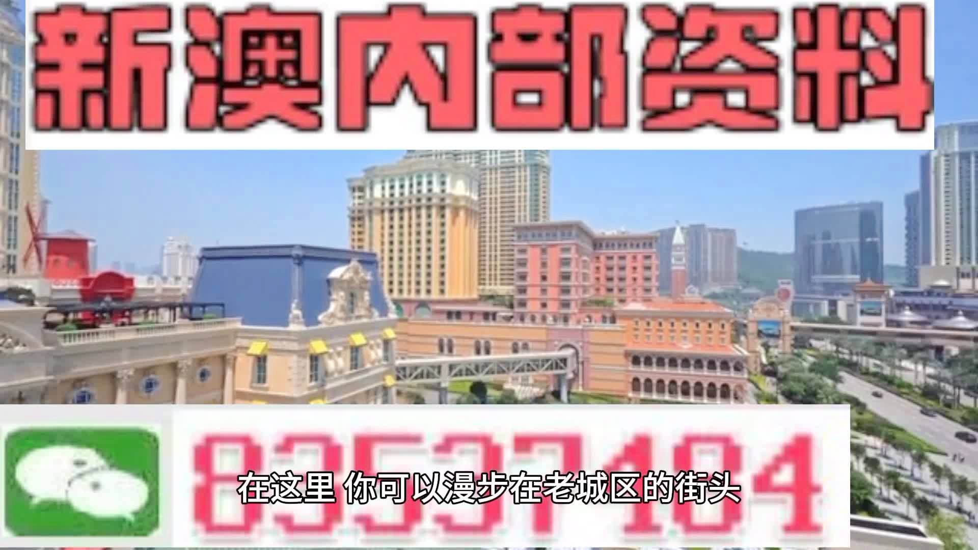 新澳门资料免费长期公开，新澳门资料免费长期公开，探索与启示
