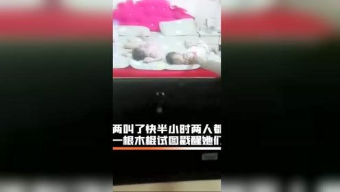 天下彩9944CC天下彩正版资料，天下彩9944CC正版资料，探索与解读
