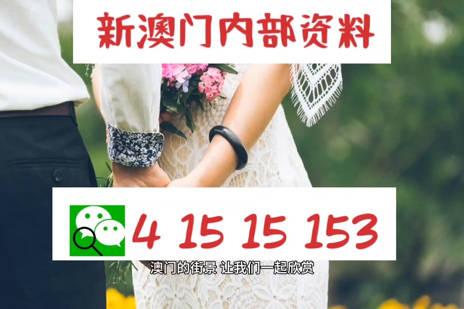 澳门精准正版免费大全，澳门精准正版免费大全，探索与解析