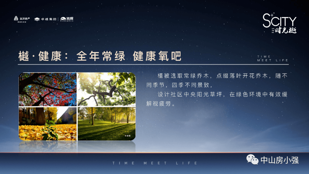 2025澳新正版资料亮点解析，2025澳新正版资料亮点解析