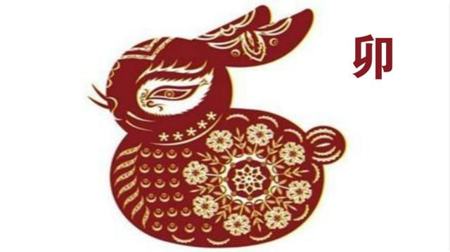 澳门天天彩期期精准十二生肖，澳门天天彩期期精准十二生肖，探索与解析