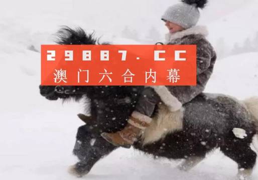 澳门一肖一码一一子，澳门一肖一码一一子，探索背后的神秘与文化魅力