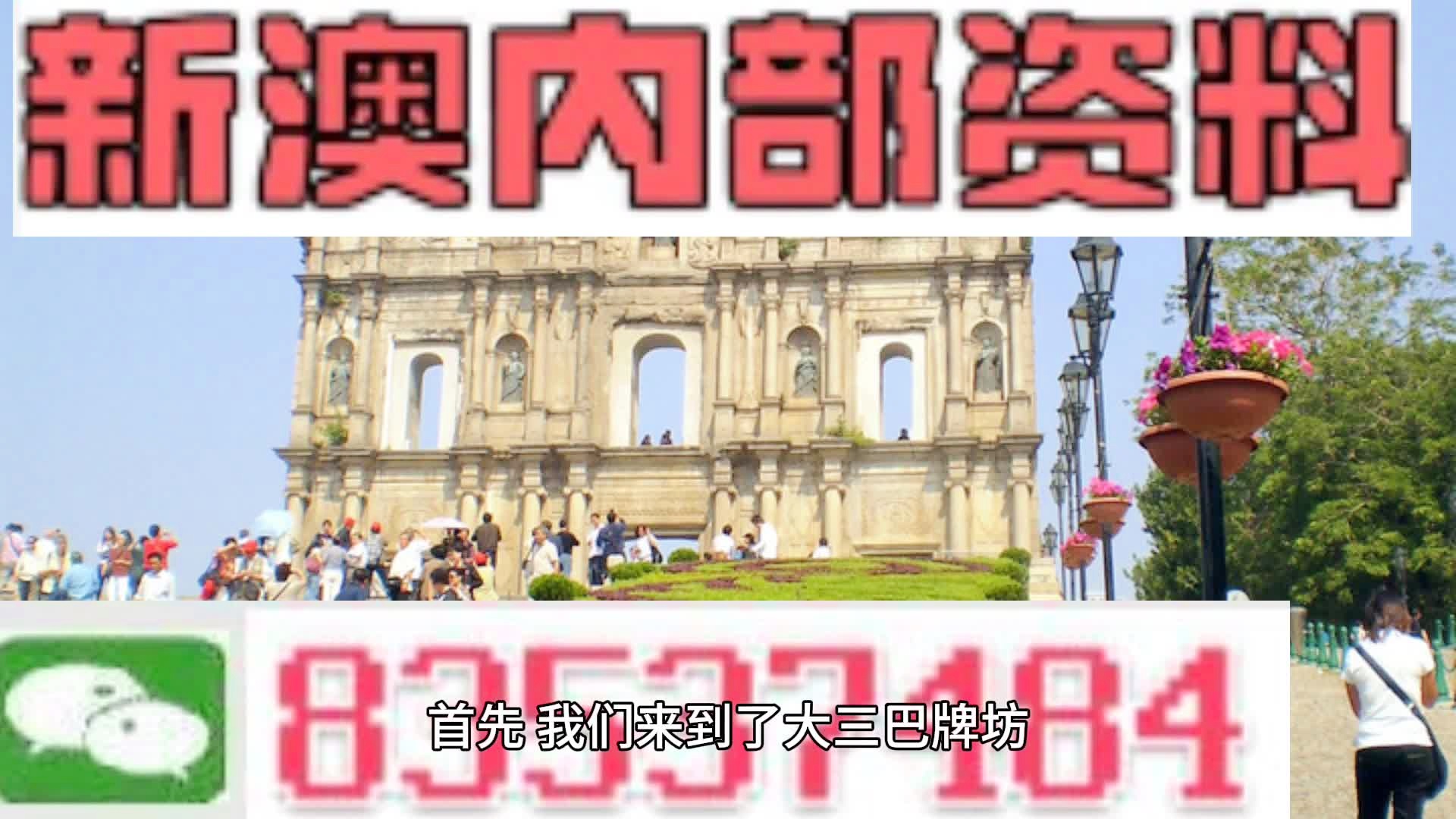 新澳内部资料免费精准，新澳内部资料免费精准，探索与解读