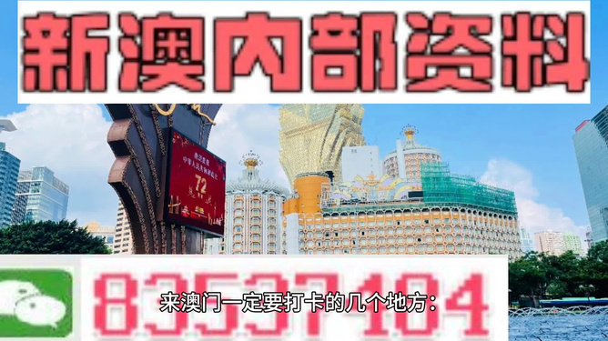 新澳2025大全正版免费，新澳2025大全正版免费，探索与体验