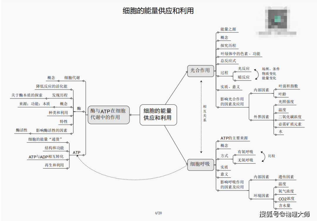 必中一组三肖三码，揭秘必中一组三肖三码的秘密