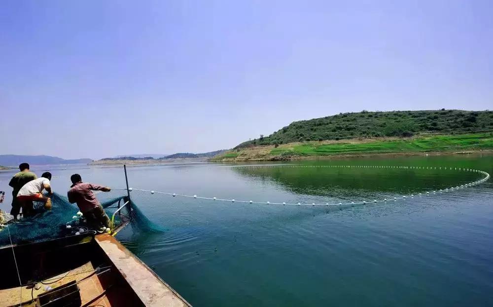 天空彩正版免费资料，天空彩正版免费资料，探索与体验